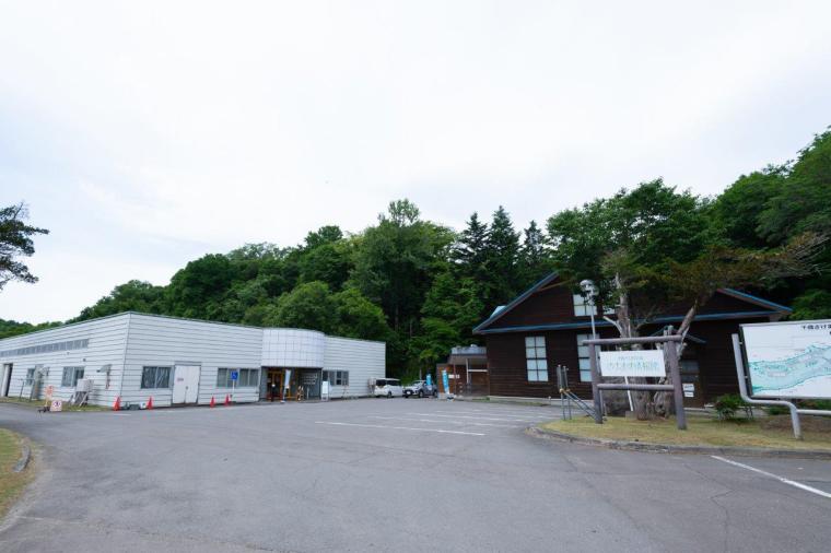 千歳さけますの森 さけます情報館