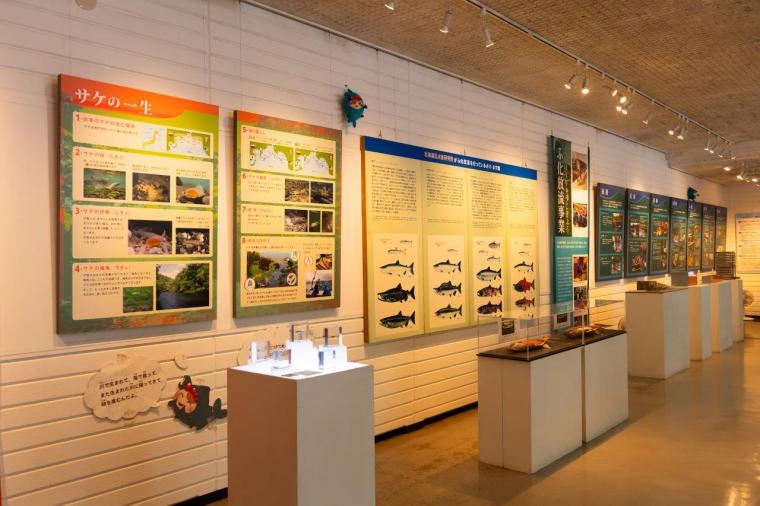 千歳さけますの森 さけます情報館