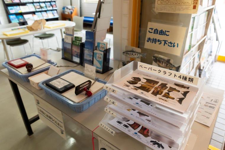 千歳さけますの森 さけます情報館