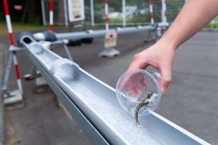 千歳さけますの森 さけます情報館