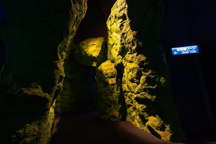 サケのふるさと 千歳水族館