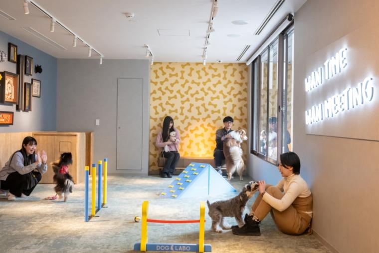 hotel anddoggy京都二条