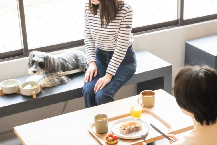 hotel anddoggy京都二条