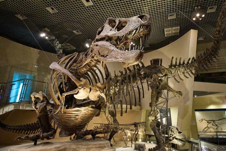 国立科学博物館