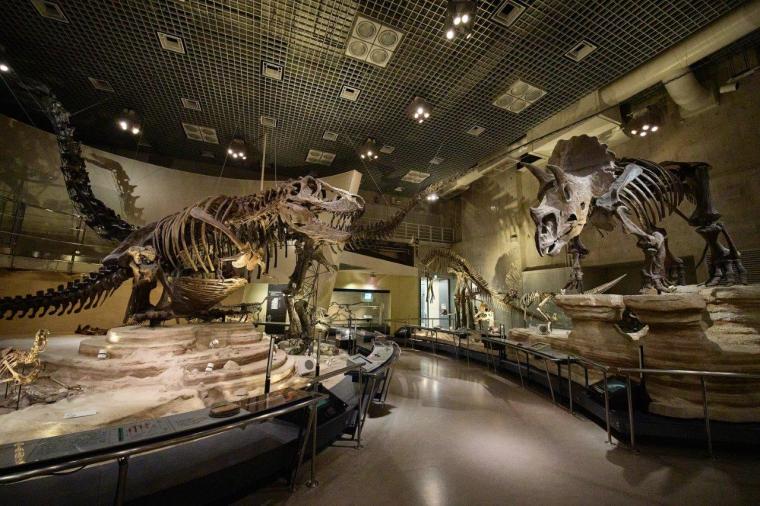 国立科学博物館