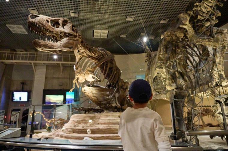 国立科学博物館