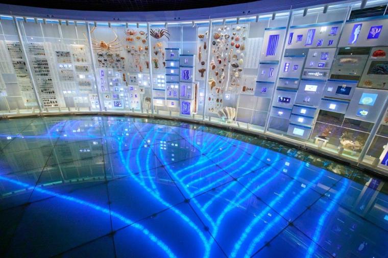 国立科学博物館