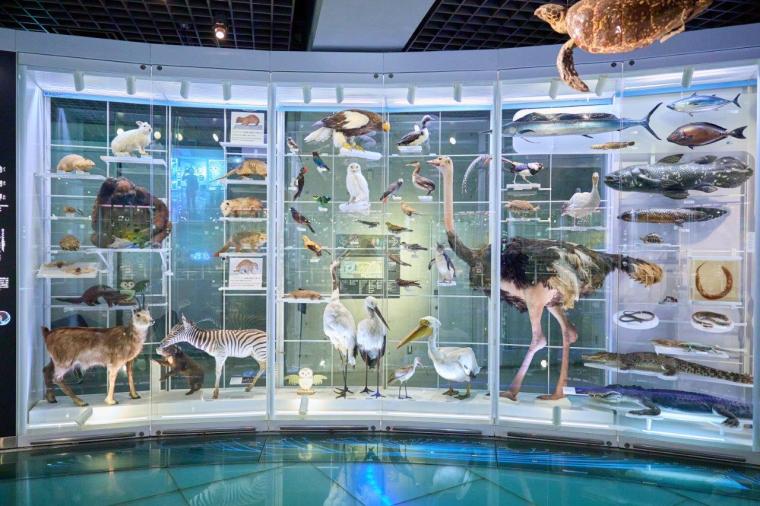 国立科学博物館