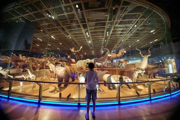 国立科学博物館