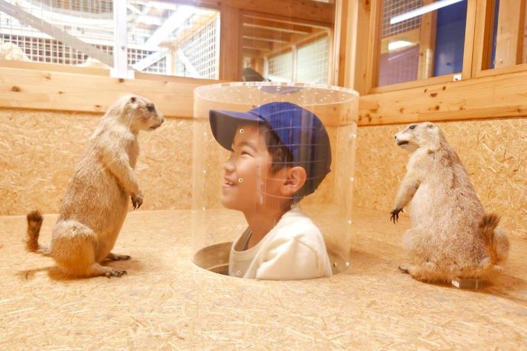 国立科学博物館