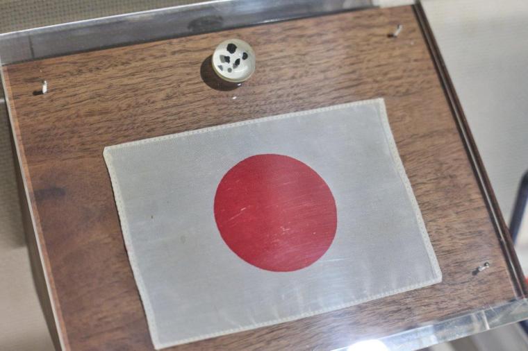 国立科学博物館