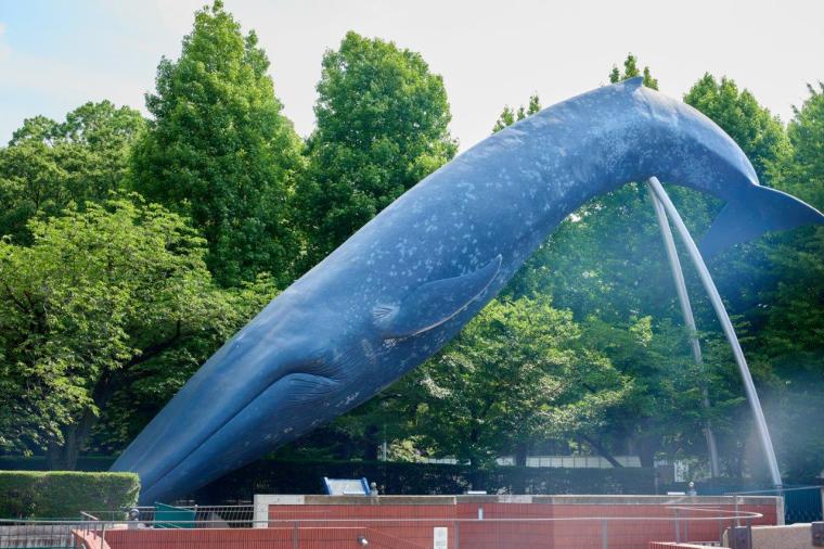 国立科学博物館