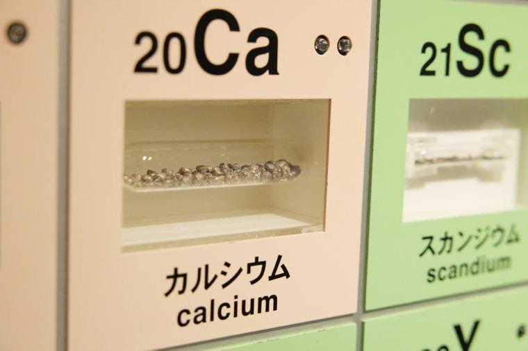 国立科学博物館