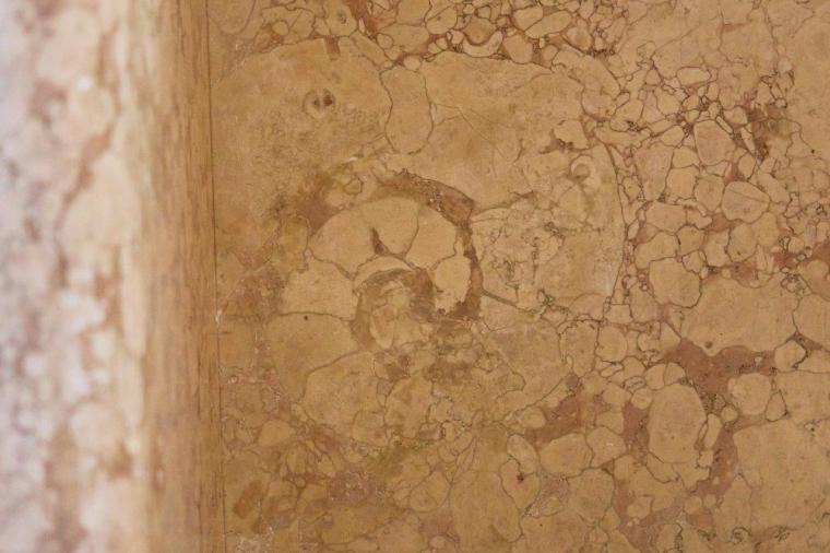 国立科学博物館