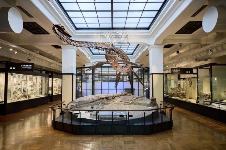 国立科学博物館