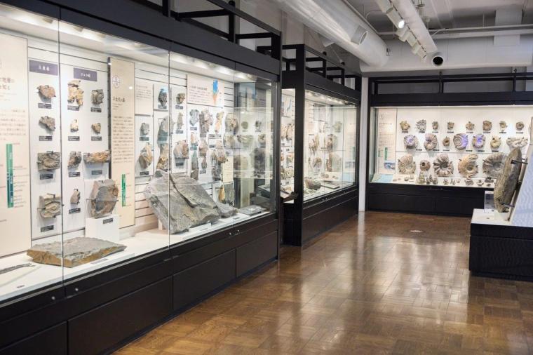 国立科学博物館