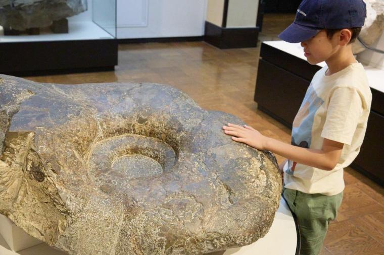 国立科学博物館