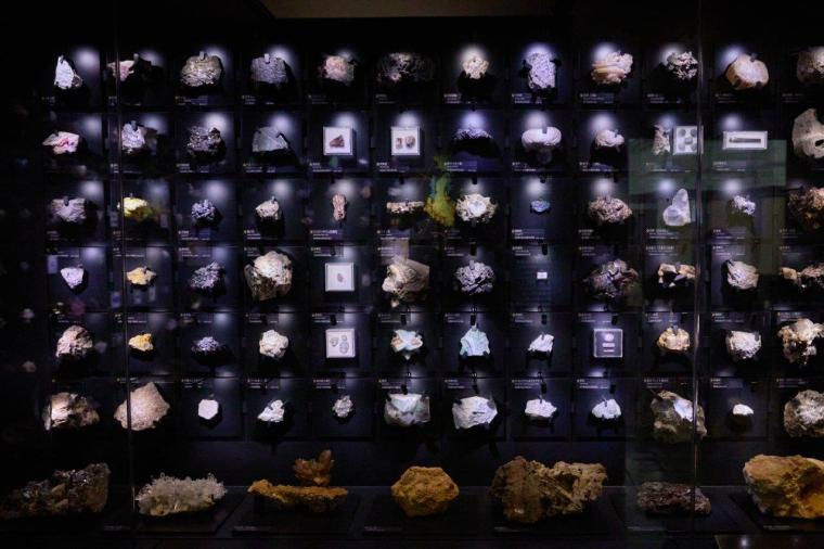 国立科学博物館