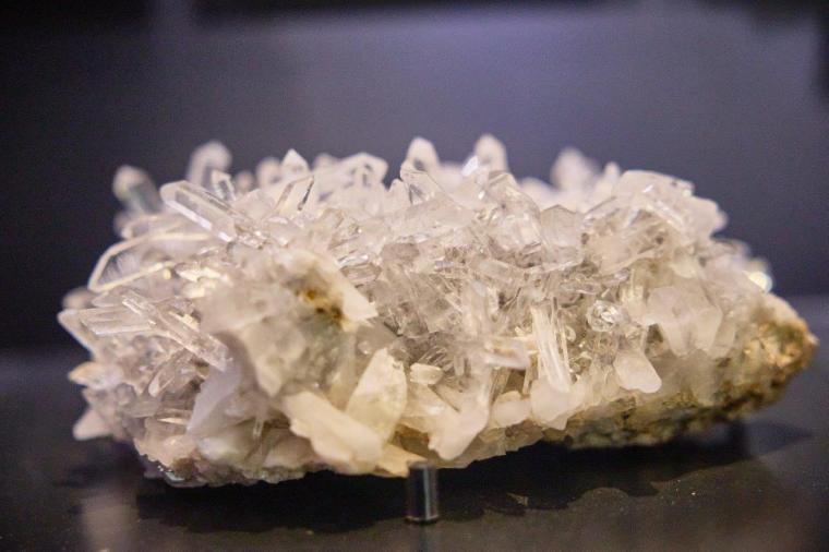 国立科学博物館