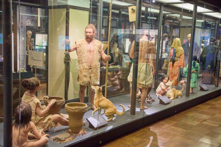 国立科学博物館