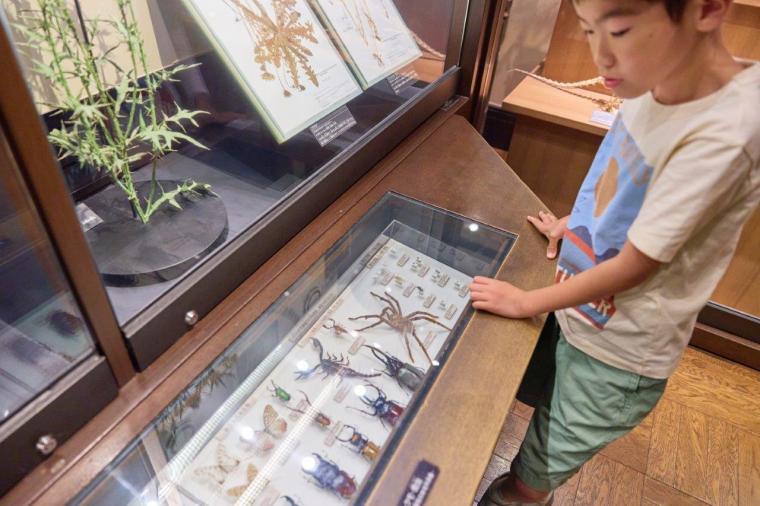 国立科学博物館