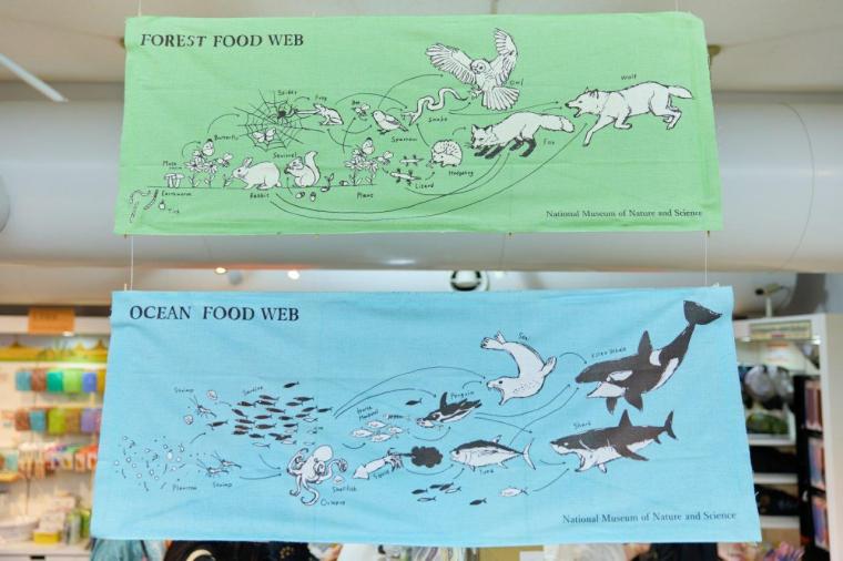 国立科学博物館