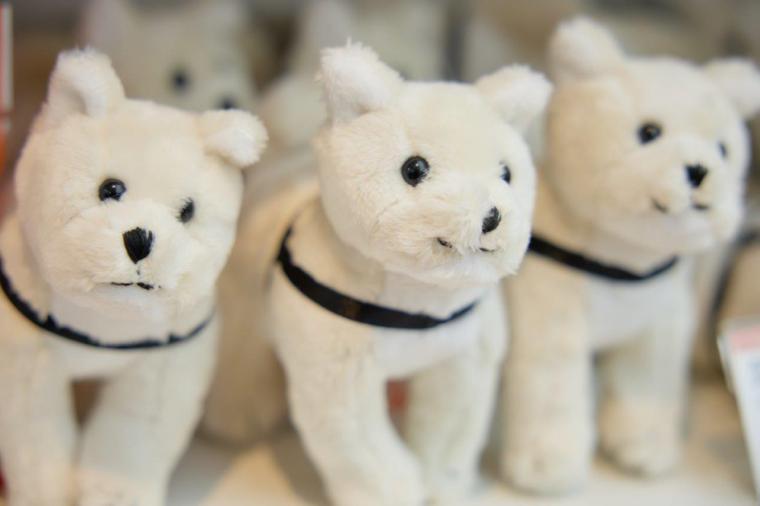 国立科学博物館