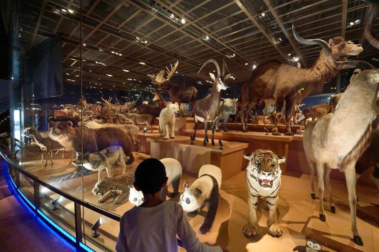 国立科学博物館