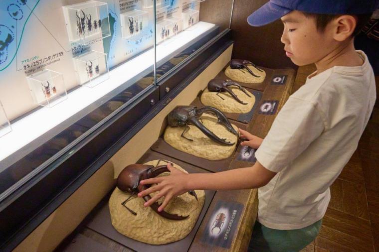 国立科学博物館