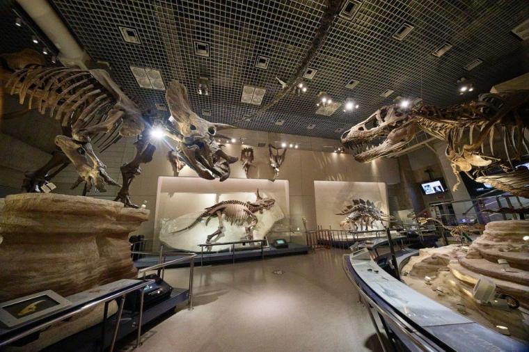 国立科学博物館