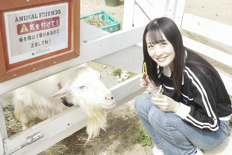 ネスタリゾート神戸 動物ふれあい