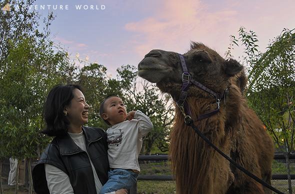 「アドベンチャーワールド」ナイトふれあいパーク