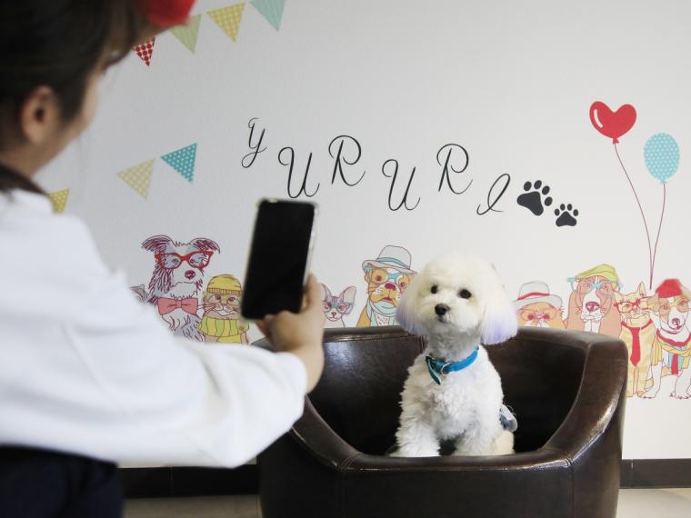 フォトスポット