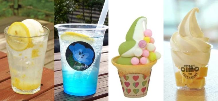 花畑や限定スイーツも！茨城・国営ひたち海浜公園で「とびっきり！夏フェア！」開催中