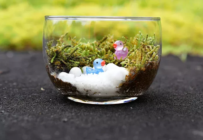 花畑や限定スイーツも！茨城・国営ひたち海浜公園で「とびっきり！夏フェア！」開催中