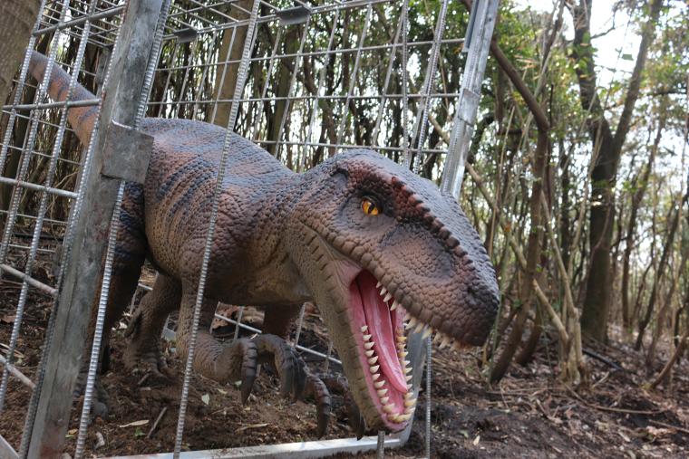 国内最大級！福井の芝政ワールドに「恐竜の森ナイトツアー」登場