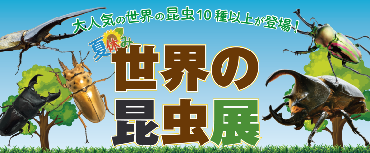 「NESTA SUPER SUMMER FES 2024 ! !」世界の昆虫展