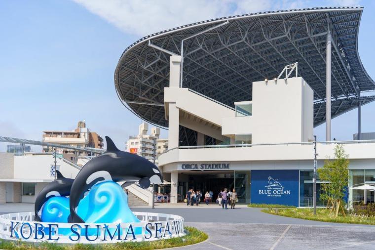 「ひょうご夏の体験デジタルパス」神戸須磨シーワールド
