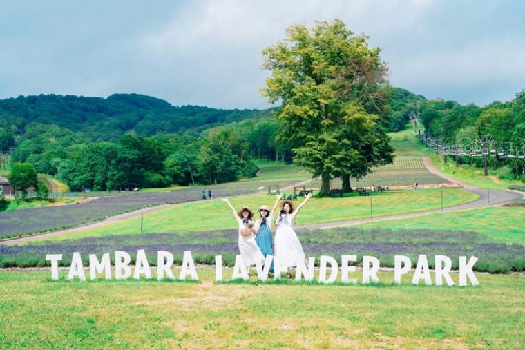 「彩（いろどり）の丘」