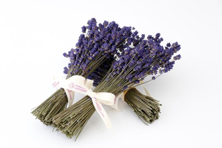 ドライラベンダーやオリジナルグッズ
