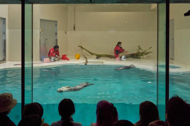 鳥羽水族館