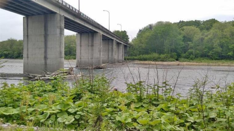 【レポ】映画「ゴールデンカムイ」にも登場！北海道・大樹町の川で“砂金採り”体験をしてみた 