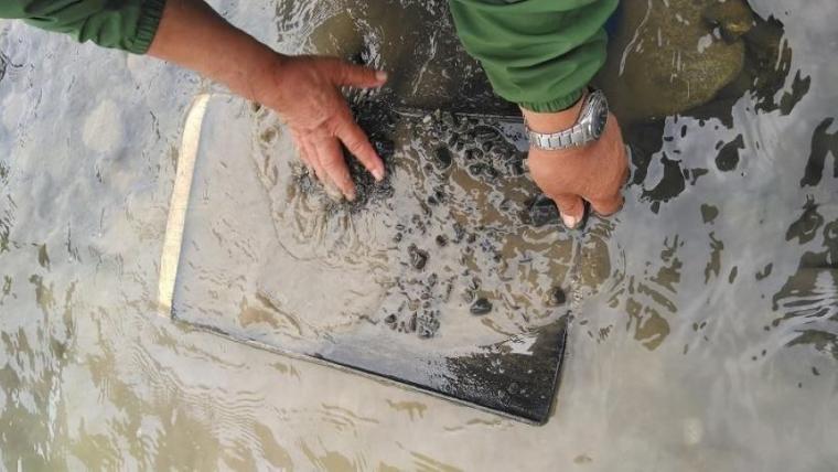 【レポ】映画「ゴールデンカムイ」にも登場！北海道・大樹町の川で“砂金採り”体験をしてみた 