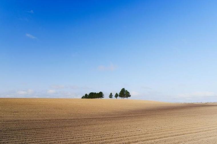 【日常の絶景】朝4時に起きてでも見たい…プロのテレビカメラマンによる「十勝の春夏秋冬」