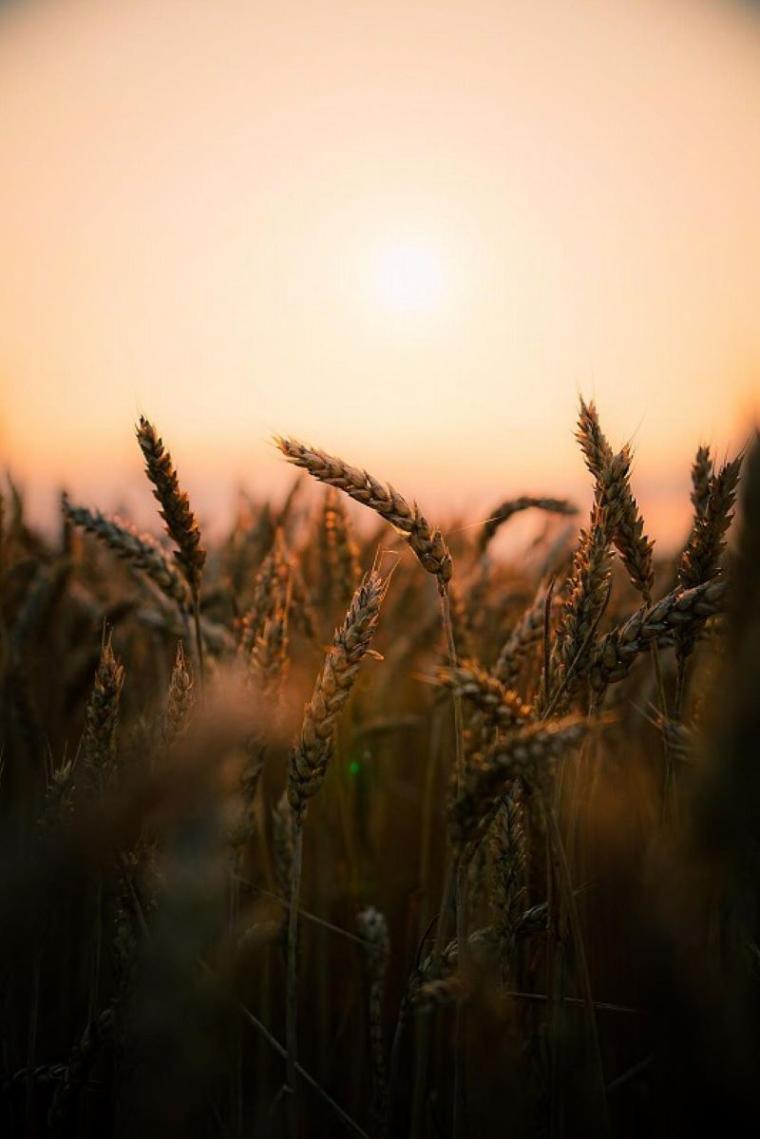 【日常の絶景】朝4時に起きてでも見たい…プロのテレビカメラマンによる「十勝の春夏秋冬」