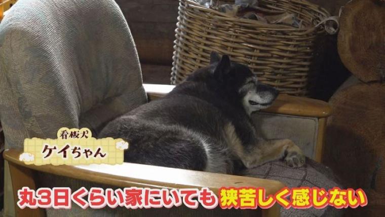 北海道の山奥にある「そば屋」、なぜそこに？