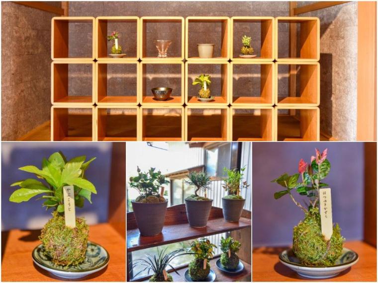 【台湾出身編集者kumaの金沢散歩】古民家カフェ『茶房 いけ田』で、至上の癒しカフェタイムを堪能してきました！