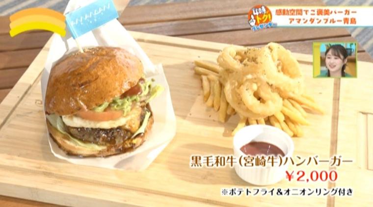 【宮崎】青島の絶景を眺めながらご褒美バーガー　「アマンダンブルー青島」にランチが登場!!（青島市）