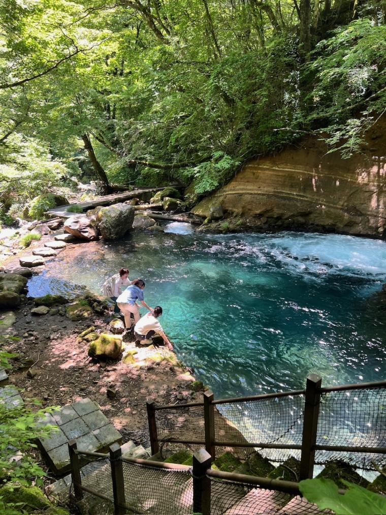 「しゅわしゅわの素麺」由布市のひんやりスポットで夏を迎える