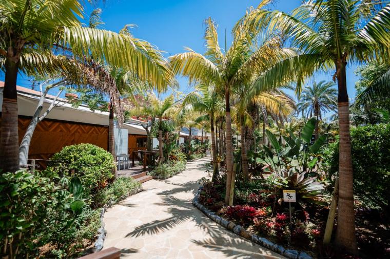 【沖縄】飲んで食べて！大人も満喫できるナゴパイナップルパークの遊び方（名護市）